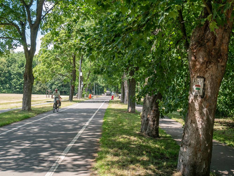 Park Śląski aktywnie