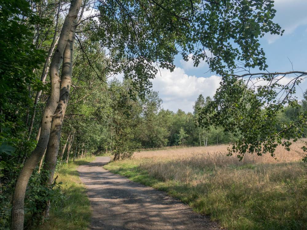 Żółty szlak rowerowy nr 5 w Katowicach