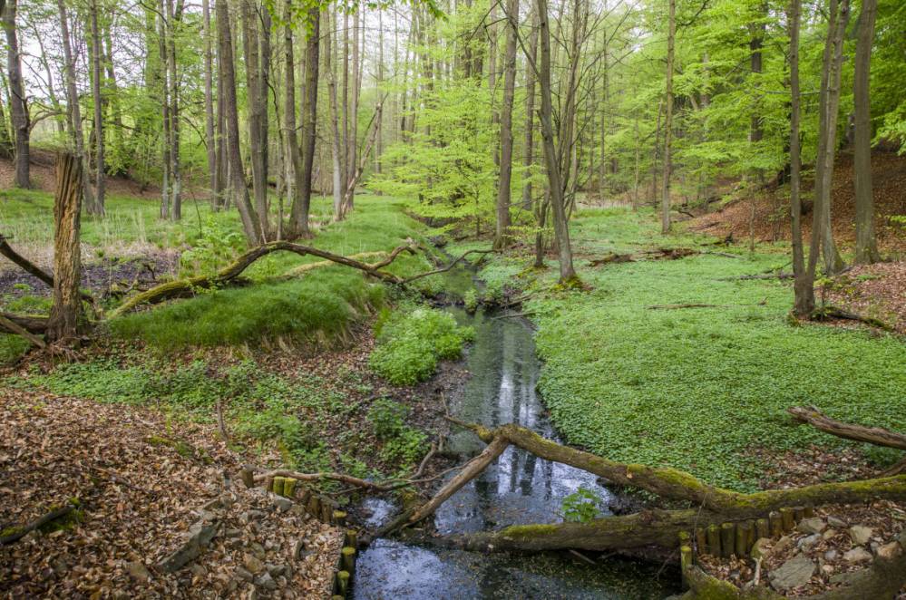 Szwajcaria Rachowicka